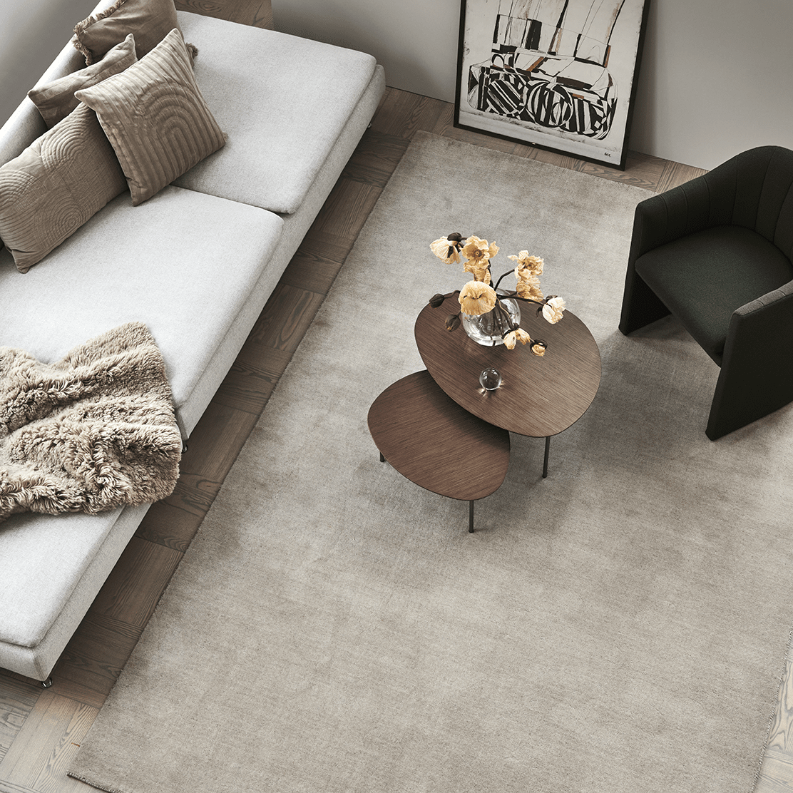 Hur får man bort spya från matta? - Classic Collection