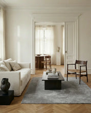 Minimalist living room with a beige fabric sofa, dark wood coffee table, grey area rug, and mid-century wooden armchair.
