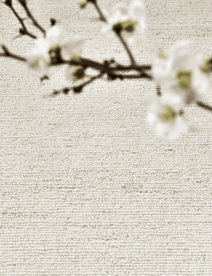 Close-up of a textured cream-colored carpet or rug background with a blurred, out-of-focus floral branch in the foreground.