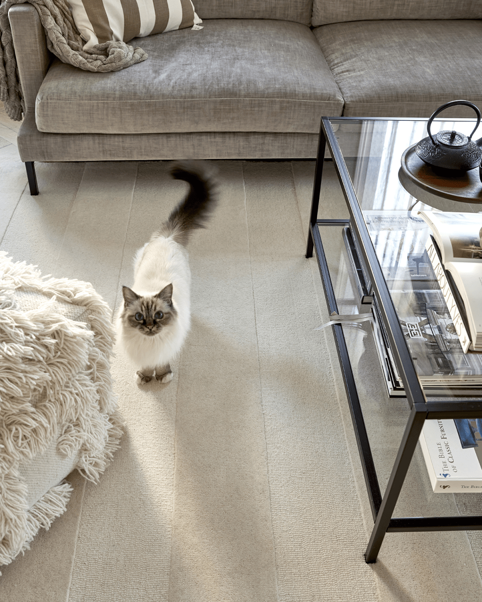 Matta Stripe Boucle Ivory