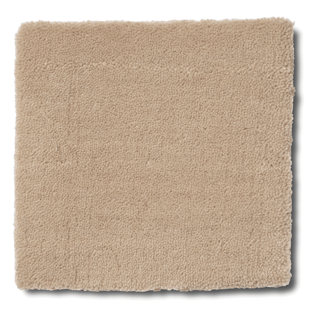 Heltäckande Matta Lobby Beige