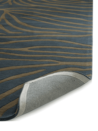 Zebra Horizon